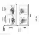 Fig. 108 - Non-human animals with modified immunoglobulin heavy chain sequences