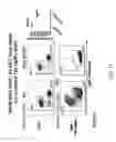 Fig. 12 - Non-human animals with modified immunoglobulin heavy chain sequences