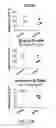 Fig. 15 - Non-human animals with modified immunoglobulin heavy chain sequences