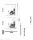Fig. 19 - Non-human animals with modified immunoglobulin heavy chain sequences