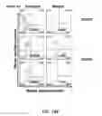 Fig. 24 - Non-human animals with modified immunoglobulin heavy chain sequences
