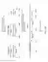Fig. 31 - Non-human animals with modified immunoglobulin heavy chain sequences