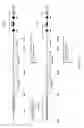 Fig. 33 - Non-human animals with modified immunoglobulin heavy chain sequences