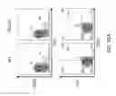 Fig. 48 - Non-human animals with modified immunoglobulin heavy chain sequences