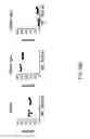 Fig. 57 - Non-human animals with modified immunoglobulin heavy chain sequences