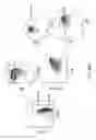 Fig. 58 - Non-human animals with modified immunoglobulin heavy chain sequences