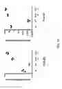 Fig. 61 - Non-human animals with modified immunoglobulin heavy chain sequences