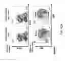 Fig. 72 - Non-human animals with modified immunoglobulin heavy chain sequences
