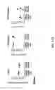 Fig. 75 - Non-human animals with modified immunoglobulin heavy chain sequences