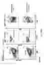 Fig. 78 - Non-human animals with modified immunoglobulin heavy chain sequences
