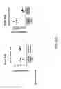 Fig. 82 - Non-human animals with modified immunoglobulin heavy chain sequences