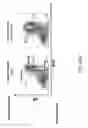 Fig. 83 - Non-human animals with modified immunoglobulin heavy chain sequences