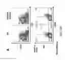 Fig. 88 - Non-human animals with modified immunoglobulin heavy chain sequences