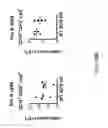 Fig. 89 - Non-human animals with modified immunoglobulin heavy chain sequences