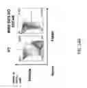 Fig. 96 - Non-human animals with modified immunoglobulin heavy chain sequences
