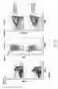 Fig. 98 - Non-human animals with modified immunoglobulin heavy chain sequences