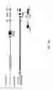 Fig. 99 - Non-human animals with modified immunoglobulin heavy chain sequences