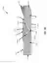Fig. 06 - Bovine Hoofblock with Improved Glue Application, Adhesion, and Design