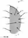 Fig. 09 - Bovine Hoofblock with Improved Glue Application, Adhesion, and Design