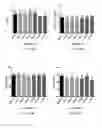 Fig. 15 - Cell free supernatant composition of microbial culture for agricultural use