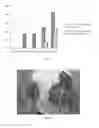 Fig. 26 - Cell free supernatant composition of microbial culture for agricultural use