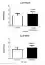 Fig. 28 - Cell free supernatant composition of microbial culture for agricultural use