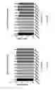 Fig. 35 - Cell free supernatant composition of microbial culture for agricultural use