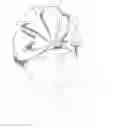 Fig. 01 - Noise reducing water resistant headpiece