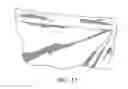 Fig. 13 - Noise reducing water resistant headpiece