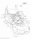 Fig. 02 - Shoe Having Lace Fitting Structure