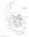 Fig. 03 - Shoe Having Lace Fitting Structure