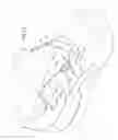 Fig. 11 - Shoe Having Lace Fitting Structure