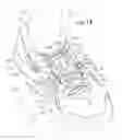 Fig. 13 - Shoe Having Lace Fitting Structure
