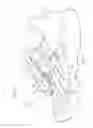 Fig. 15 - Shoe Having Lace Fitting Structure