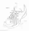 Fig. 18 - Shoe Having Lace Fitting Structure