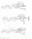 Fig. 06 - HAIR TWIST