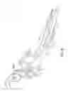 Fig. 07 - HAIR TWIST
