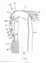 Fig. 08 - Backpack