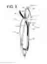 Fig. 11 - Eyeglass holder
