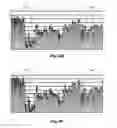 Fig. 06 - System and Method for Display of Capsule Images and Associated Information