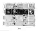 Fig. 14 - Predicting retinal degeneration based on three-dimensional modeling of oxygen concentration