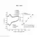 Fig. 30 - BIOSENSOR  AND  WEARABLE  DEVICE  FOR DETECTING  BIOINFORMATION  INCLUDING HYBRID  ELECTRONIC  SHEET