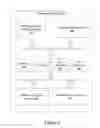 Fig. 10 - Automated systems and methods for skin assessment and early detection of a latent pathogenic bio-signal anomaly