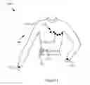 Fig. 12 - Wearable items providing physiological, environmental and situational parameter monitoring