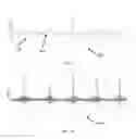 Fig. 09 - SYSTEM AND METHOD FOR RESPIRATORY SYSTEM ASSESSMENT