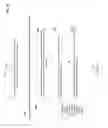 Fig. 11 - Medical overlay mirror