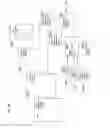 Fig. 29 - Medical overlay mirror