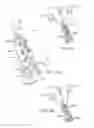 Fig. 28 - HAND-HELD IMAGING DEVICES WITH POSITION AND/OR ORIENTATION SENSORS FOR COMPLETE EXAMINATION OF TISSUE