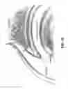 Fig. 19 - Method and apparatus for re-attaching the labrum to the acetabulum, including the provision and use of a novel suture anchor system