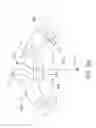 Fig. 13 - Surgical blade for use with an acetabular cup remover to remove bone around an acetabular cup
